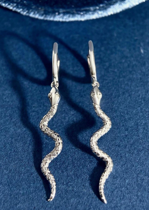 I AM MEDUSA š Snake Dangle Earrings