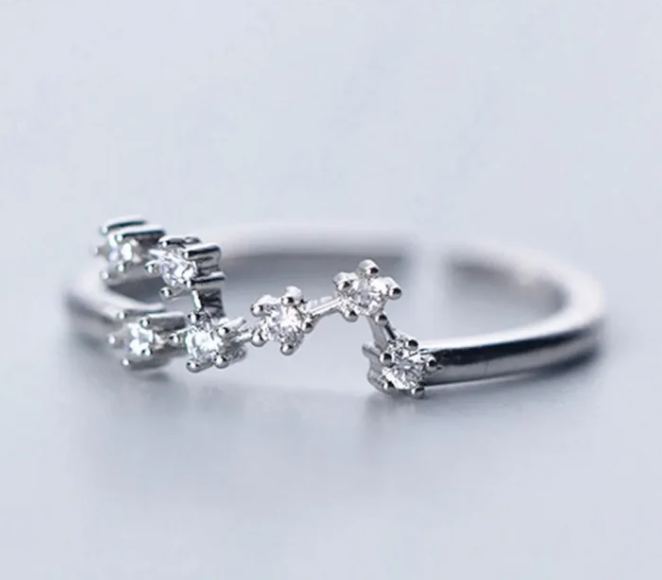 I AM FIRE 🐦🔥 Leo Constellation Ring ♌