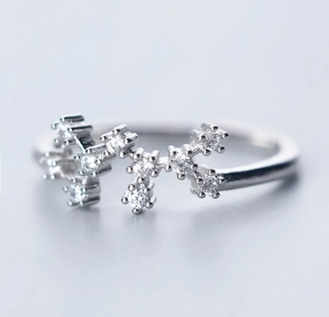 I AM FIRE 🐦🔥 Sagittarius Constellation Ring ♐
