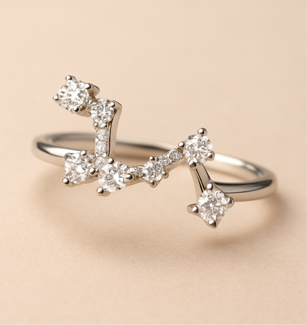I AM FIRE 🐦🔥 Leo Constellation Ring ♌