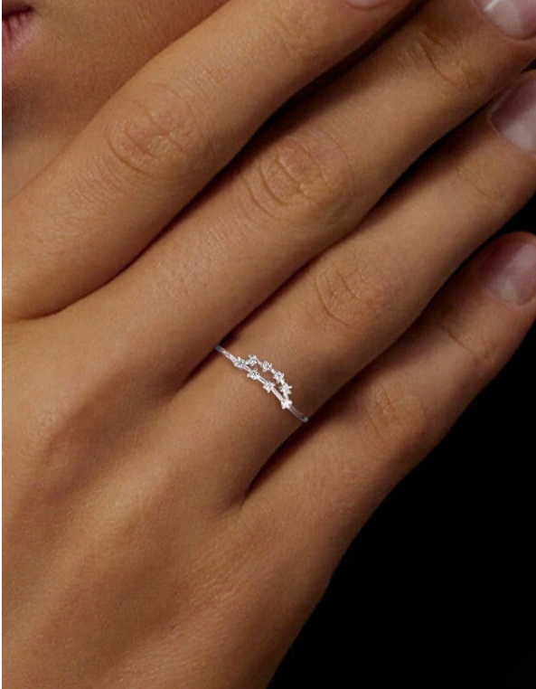 I AM EARTH🌲Capricorn Constellation Ring♑️