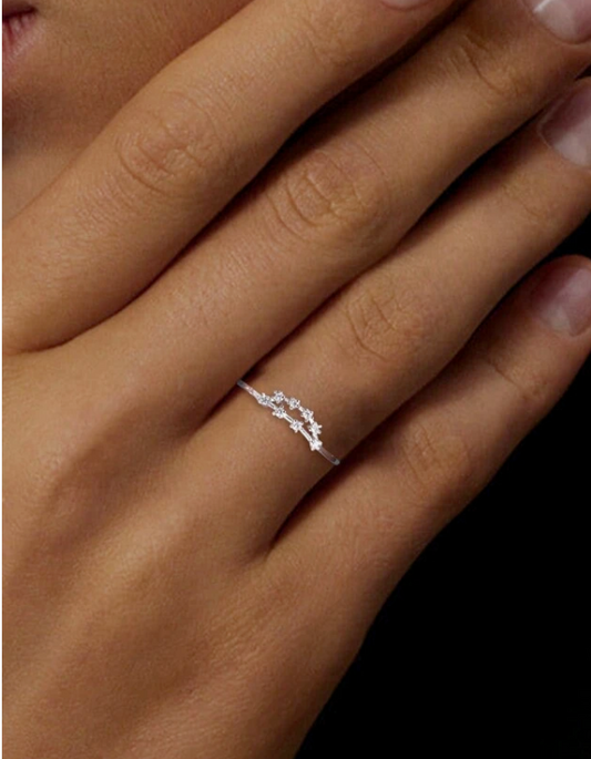 I AM EARTH🌲Capricorn Constellation Ring♑️