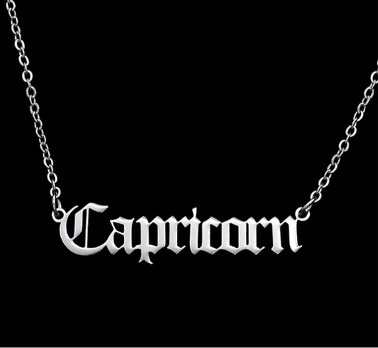 ♑CAPRICORN — Stainless Steel Zodiac Necklace