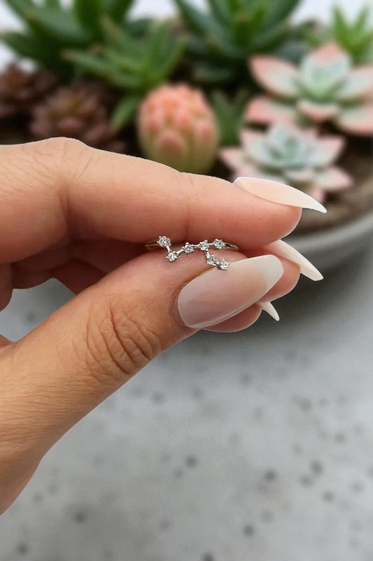I AM FIRE 🐦‍🔥 Leo Constellation Ring ♌