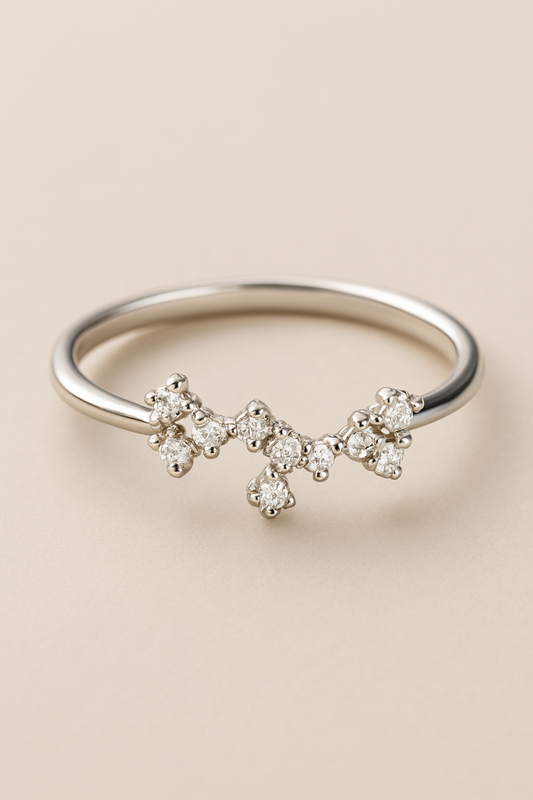 I AM FIRE 🐦‍🔥 Sagittarius Constellation Ring ♐